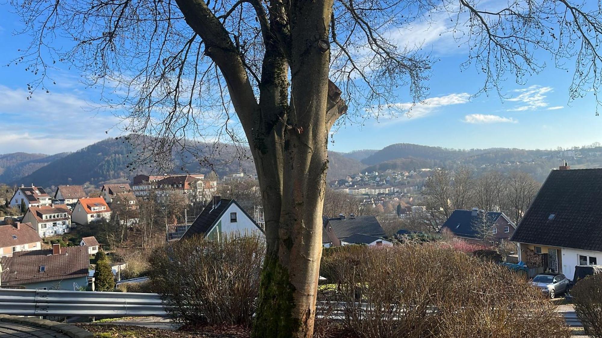 Talblick 22 Apartment *
